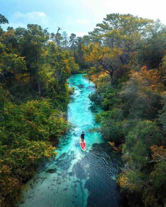 Manatee Oasis Weeki Wachee Family Fun Pool Home Спринг Хил Екстериор снимка